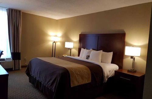 Wethersfield Hotel | Comfort Inn Wethersfield - Hartford