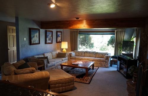 Ridglea Hills Apartment | Comfy & Quiet Hobbit Hole Pet okay