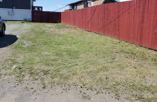 Russian Jack Park Apartment | Cozy 2bdrm, close to major hospitals, centrally located