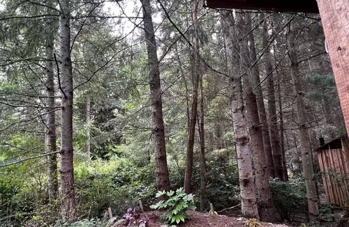 Clinton Cabin | Cozy Acres Tiny House in Clinton on Whidbey Island perfect for relaxing getaway