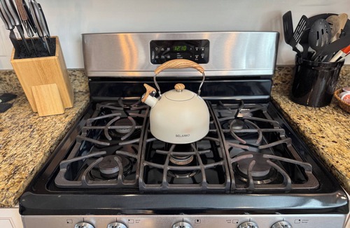 Black Mountain Cottage | Cozy cottage 2 mins to Black Mountain, 20 mins to Asheville, Dog Friendly!