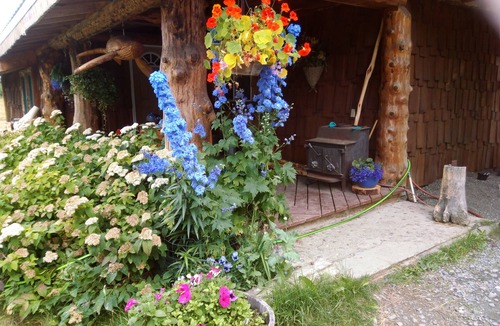 Cohoe Bed & Breakfast | Cozy hunter themed room with hot breakfast