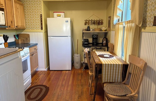 Nederland Cabin | Cozy & Quiet 1BD Cabin in Nederland ~ Walk to Downtown
