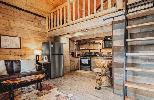 Badger Cabin | Cozy Rustic Cabin w/Running Water & Shared Sauna