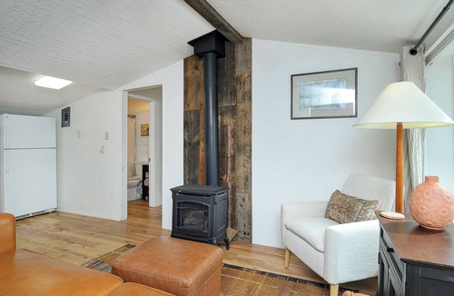 Buena Vista Cabin | Delightful 1BR cabin with AC in Buena Vista - Walk to Main Street!