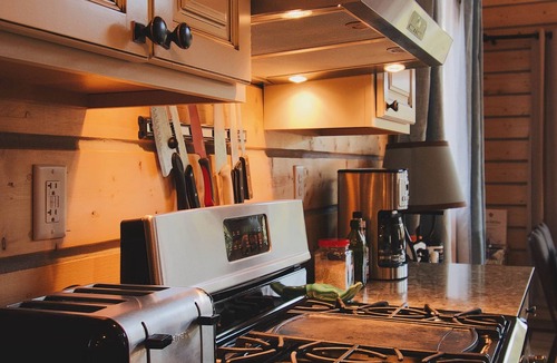 Healy Cabin | Denali Bear Cabin w/Hot Tub, Entire Cabin, Private, 3 beds