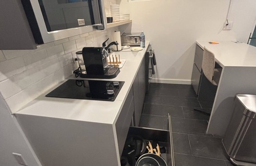 Aspen Apartment | Dog-Friendly Apt w/EV Charger/Walk to Aspen