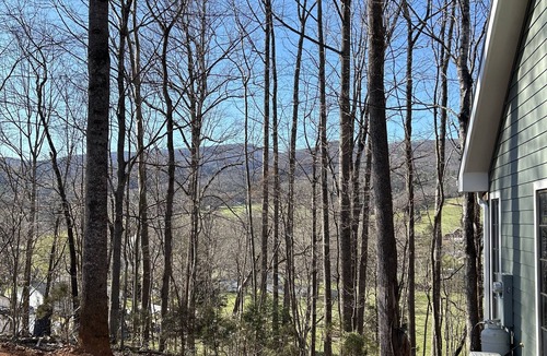 Elizabethton Cabin | Elizabethton cabin in the woods for R&R