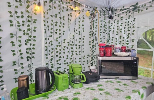 Pierce County Resort | Enchanting 1 Tent. 2 Beds All Included.