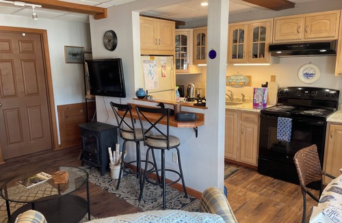 Oakland Condo | Fantastic 1-bdrm condo on Snow Pond in charming Oakland perfect for a getaway.