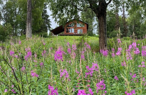 Nikiski House | Getaway Home bordering beautiful Capt. Cook Park recreation area!