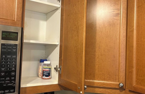 Lakeview Apartment | Gorgeous HUGE Lakefront 2 bedroom Apartment!