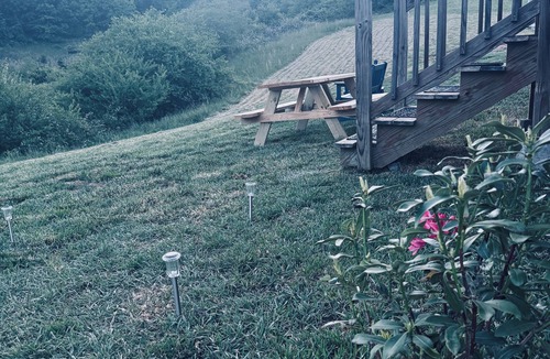 Candler Cabin | Gorgeous tiny home with mountain views in peaceful Candler