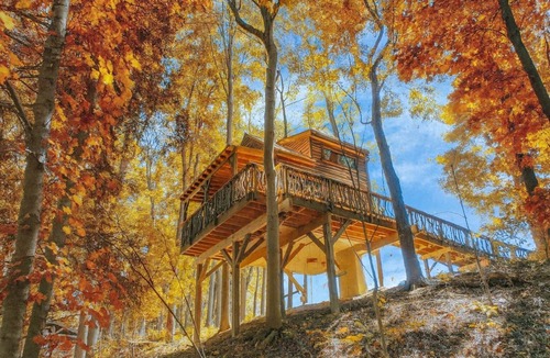 Rockbridge House | Harry Potter's Treehouse Burrow