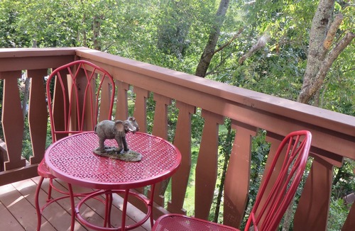 Helen House | Have a "Hakuna Matata" apline vacation in Style & Luxury!