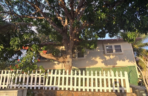 Diamond Head - Kapahulu - St. Louis Cottage | Hawaiian Historic Cottage near Diamond Head and Monserrat