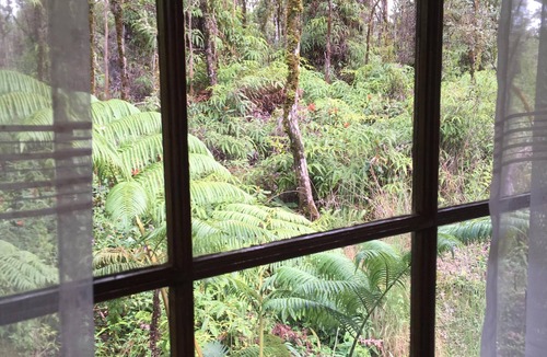 Eden Roc Cabin | Hawaiian Tree House Cabin - A/C and 15 Minutes to Volcano National Park