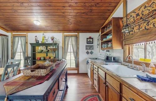 Burnet Cabin | Historic lakefront & wildlife haven with firepit & gas grill - minutes to water