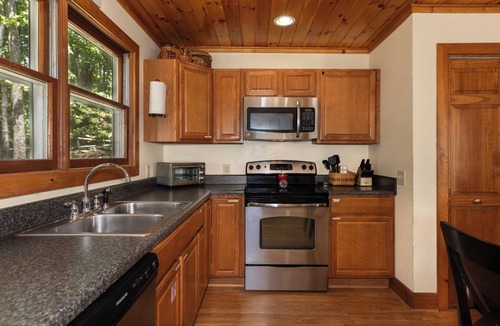 Deep Gap Cabin | Horseshoe Haven *Pets OK* Scrn Porch*Propane Grill *Resort