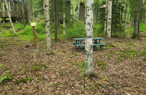 Houston Other | Houston Grass Station Campsite #20