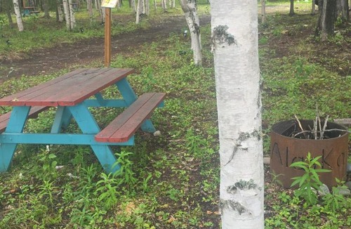 Houston Other | Houston Grass Station Campsite #42