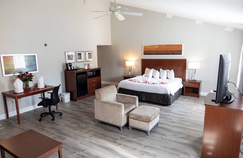Teaticket Hotel | Iris Hotel Cape Cod