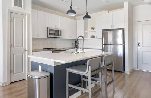 Lower Basin Lake Travis Apartment | Landing | Stunning 1BD, Gym, Clubhouse