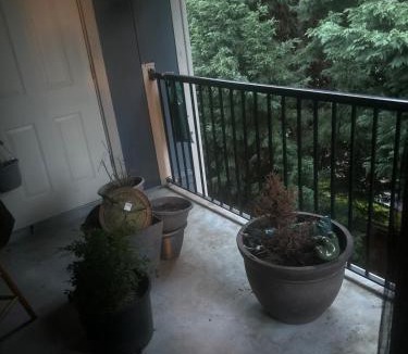 Beaverton Apartment | Literally just an ordinary bachelors pad