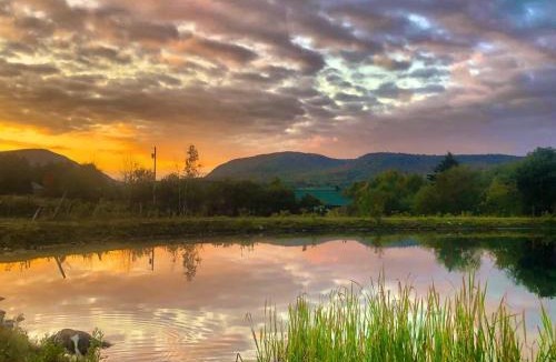 Barton Other | Lookout Cabin