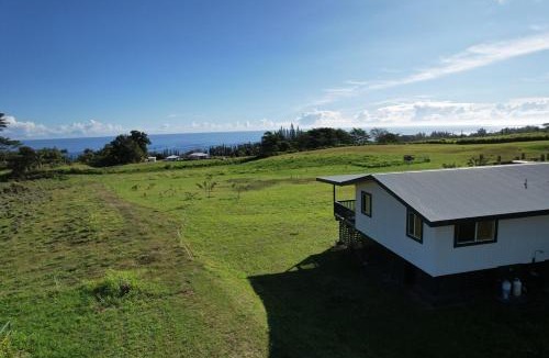 Honomu House | Luxury Farm Stay with Hot Tub, Cold Plunge and Cuddle Cows