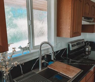 Honomu House | Luxury Farm Stay with Hot Tub, Cold Plunge and Cuddle Cows