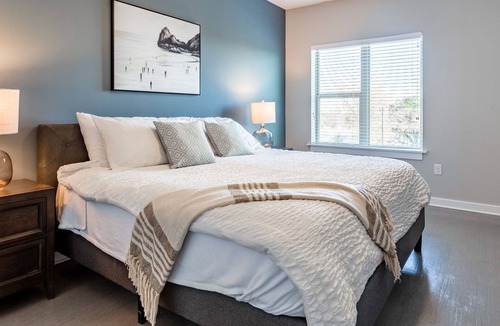 South Lamar Apartment | Modern Apartment in Prime Location (ID1615X34)