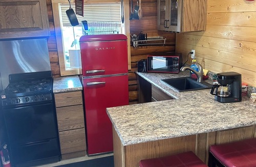 Tok Cabin | Modern Studio Cabin Near Downtown Tok