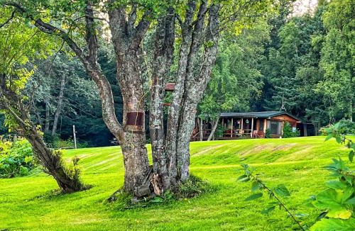 Homer House | Moose twin cabin