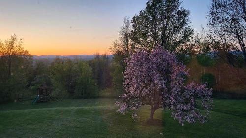 Jefferson House | Mountain Home with ski, Hot Tub & Arcade