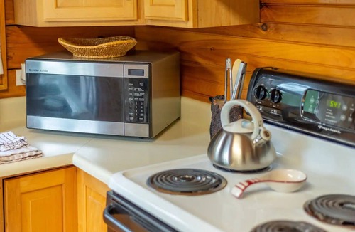 Candler Cabin | Mt. Mitchell Log Cabin - Engadine Inn and Cabins