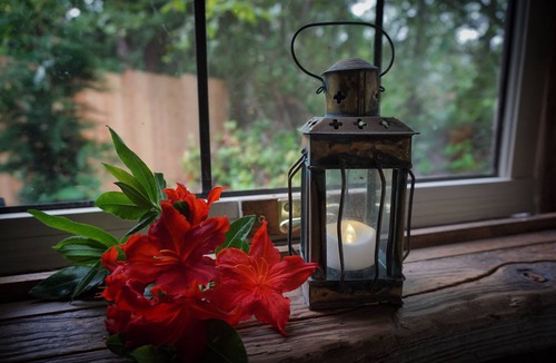 Vashon Island Cottage | On a 40 acre estate, outdoor soaking tub, fire pit, hammocks, pet friendly!