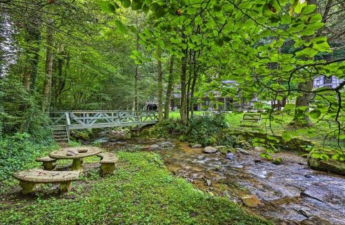 Roan Mountain House | Outdoor Groups! Roan Mtn Cabin Across from Creek