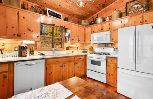 Blue Ridge Cabin | Paradise Escape: Minutes from Blue Ridge, Hot-Tub, 100+ 5-star Reviews!