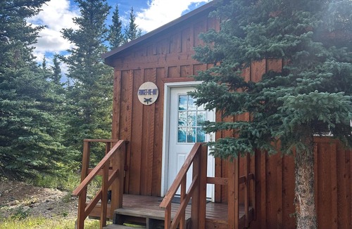 Healy Cabin | Prickly Rose Cabin-Arctic Dragonfly Inn