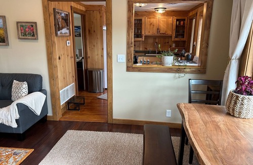 Pine Cabin | Quiet Mountain Cabin Escape - 1 hr from DIA! Gas firepit & Starlink Wifi