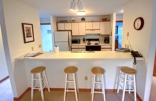 Carroll Condo | S10 Cozy Bretton Woods ground level condo, mountain views, large yard, dog friendly, Great Location!