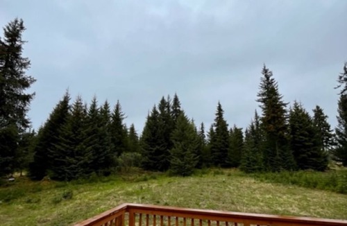 Anchor Point House | SHADY ACRES, NEW! ANCHOR POINT, PET FRIENDLY, NEAR CHARTER FISHERIES, GOLFING