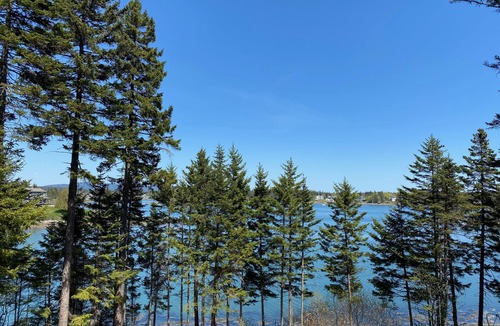 Bernard Cottage | Shorefront Cottage on Bass Harbor with Mountain Views
