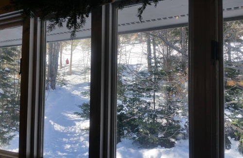 Carroll Condo | SKI IN/SKI OUT, BRETTON WOODS TOWNHOUSE, MOUNTAIN VIEWS!
