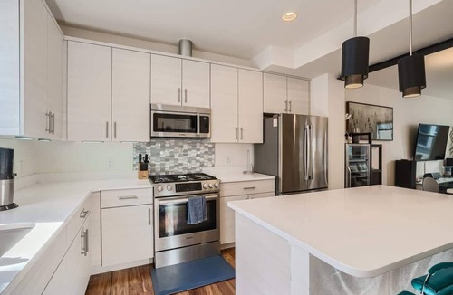 Lincoln Park House | Skyline Serenity: 3 BDR with Rooftop Patio