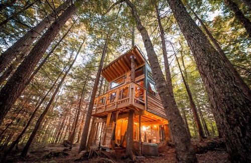 Hardwick House | Streamside treehouse in the Vermont forest with access to sauna