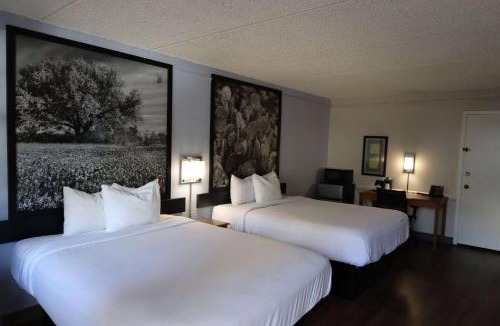 East Congress Hotel | Super 8 by Wyndham Austin South I-35