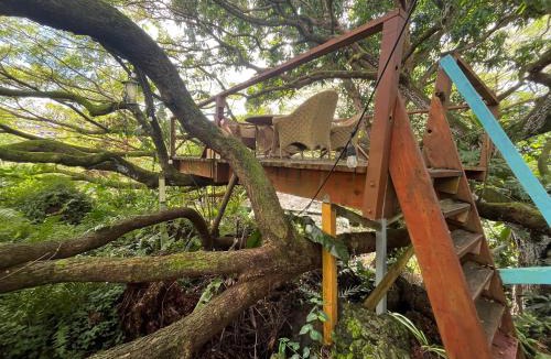 Puna Palisades House | Sweet Spot Stay -Grotto Cottage Under Giant Trees