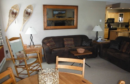 Mount Crested Butte Condo | Tastefully Remodeled, Spacious,Luxury, Calm and Peaceful
